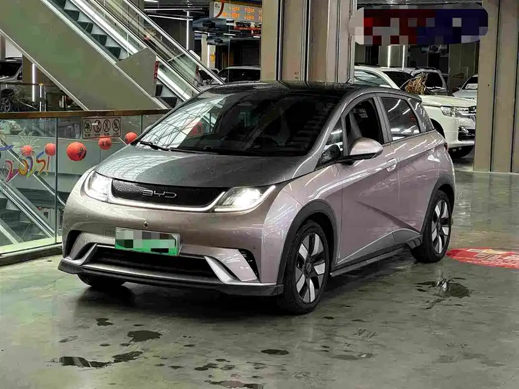 BYD Dolphin 2024