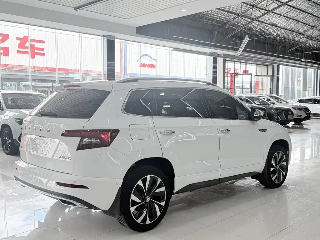 Skoda Karoq 2022 — фото 16