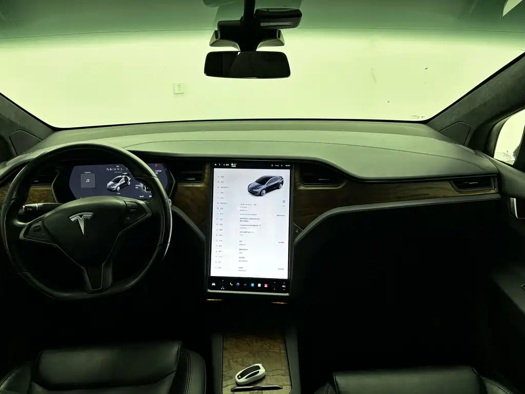 Tesla Model X 2020 — фото 13