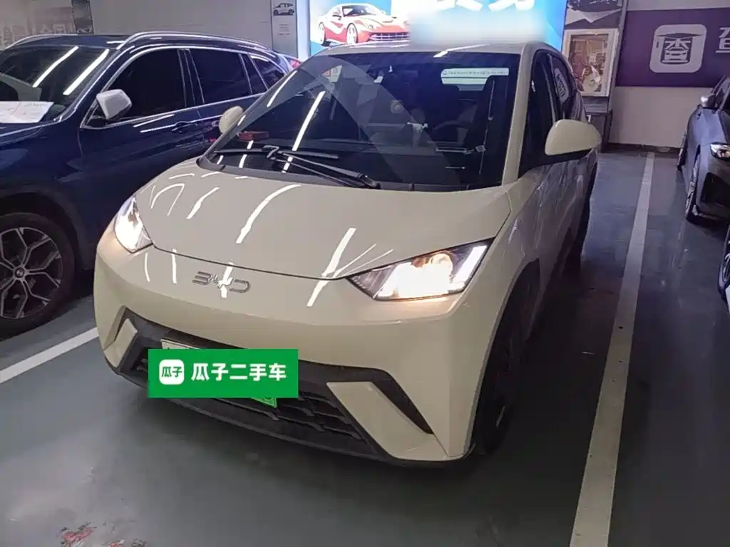 BYD Seagull 2024