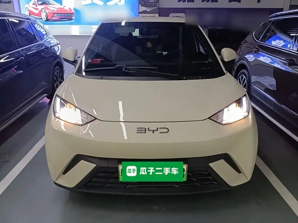 BYD Seagull 2024