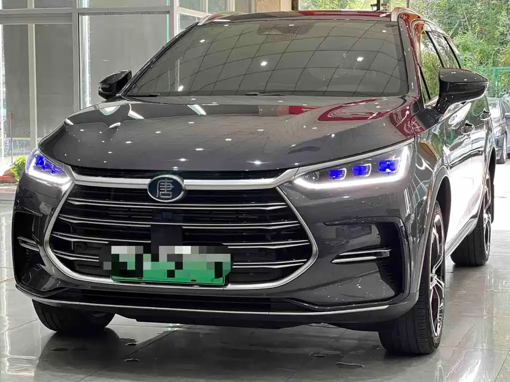 BYD Tang New Energy 2022 — фото 1