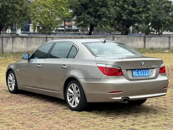 BMW 5 Series 2010
