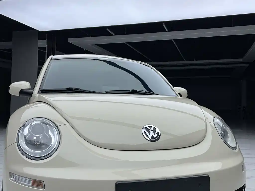 Volkswagen Beetle 2011 — фото 10