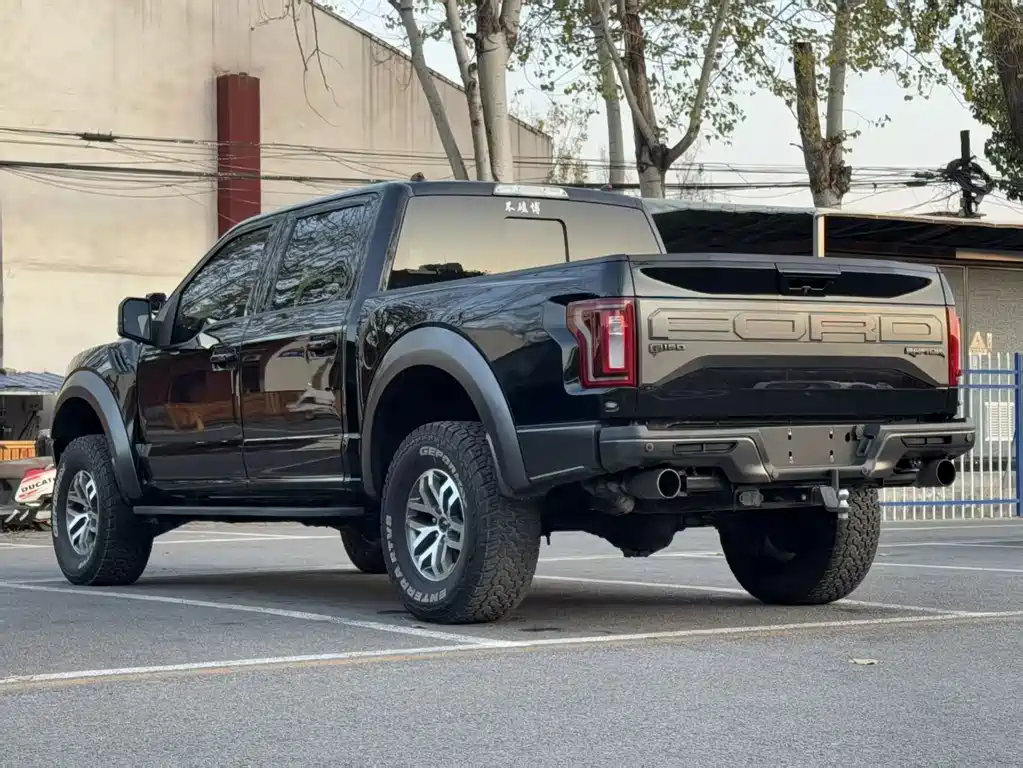 Ford F-150 Raptor 2017 — фото 5