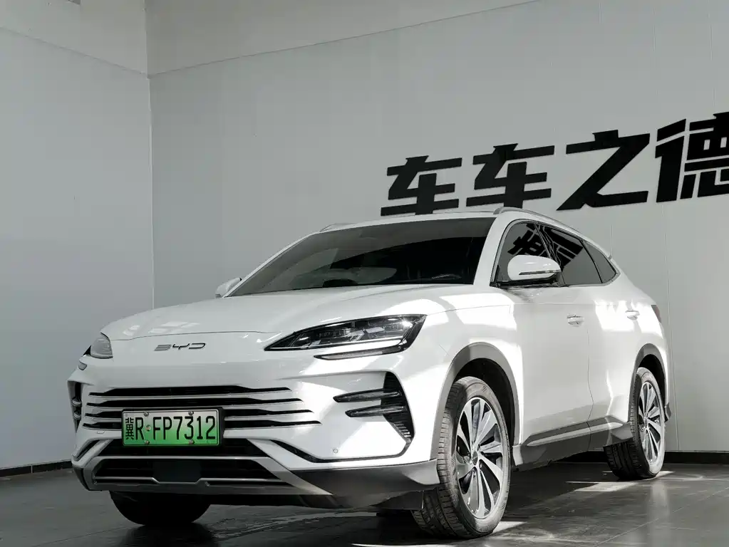 BYD PLUS New Energy 2024 — фото 1