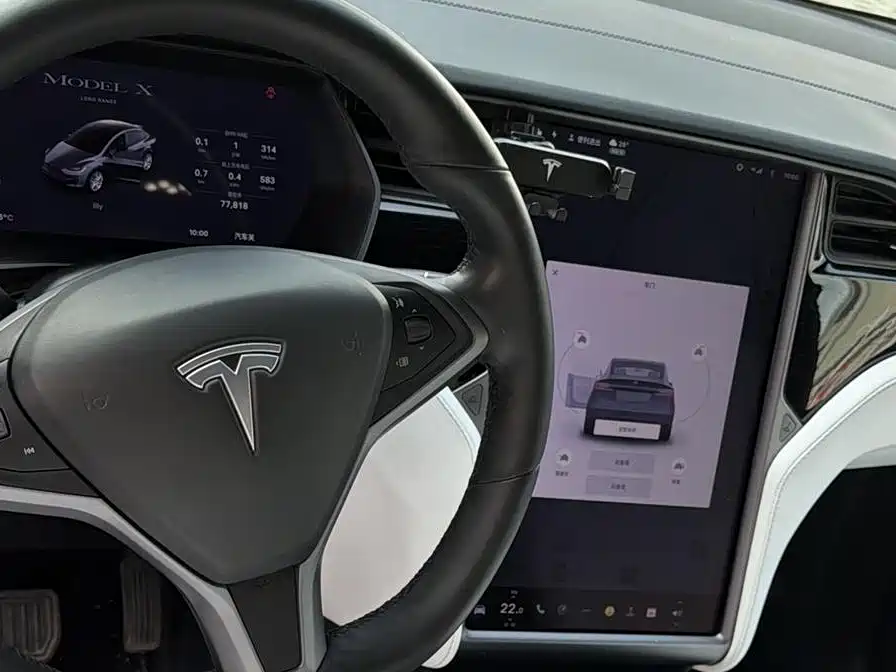 Tesla Model X 2020 — фото 7