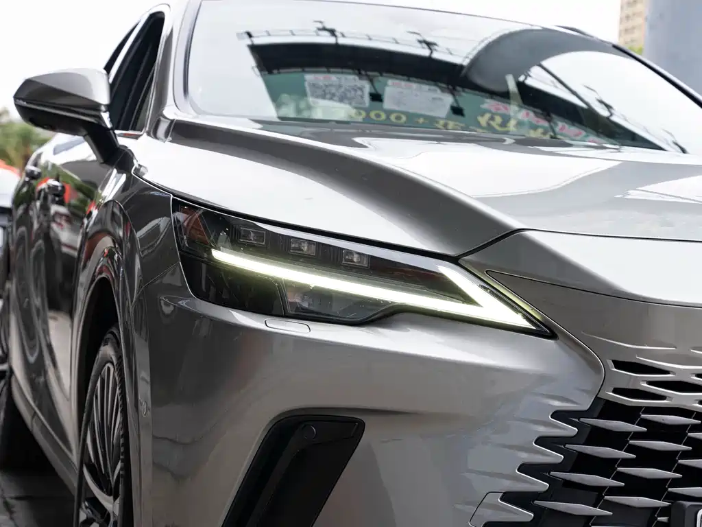 Lexus RX New Energy 2023 — фото 6