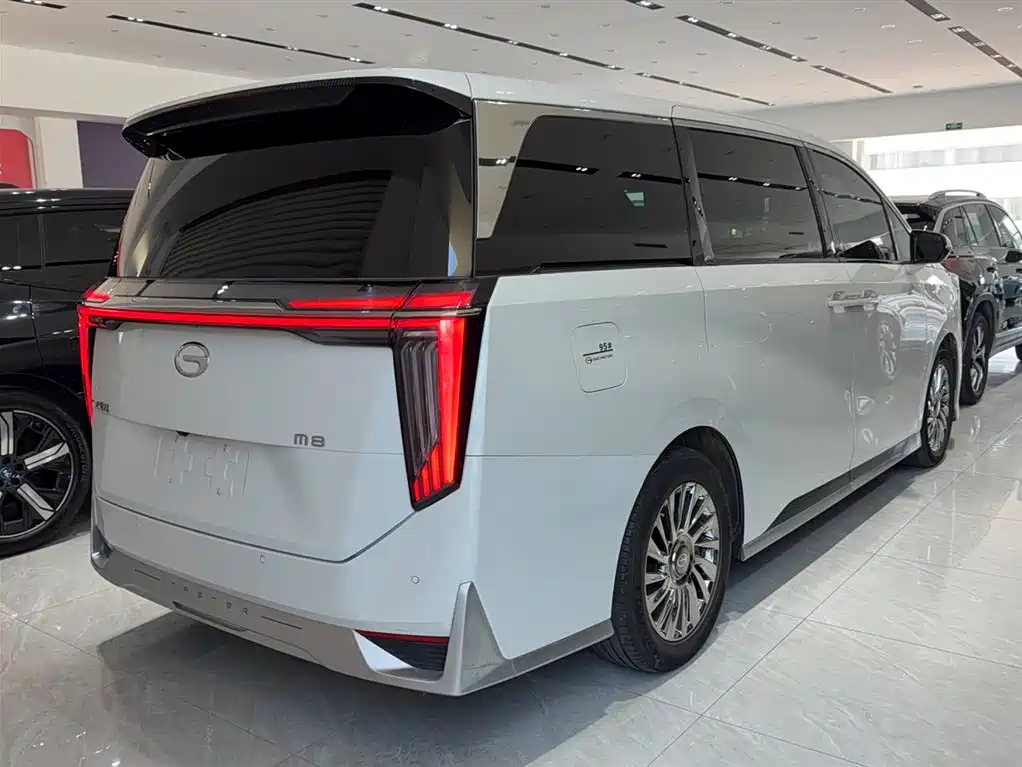 GAC Motor Trumpchi M8 2024 — фото 13