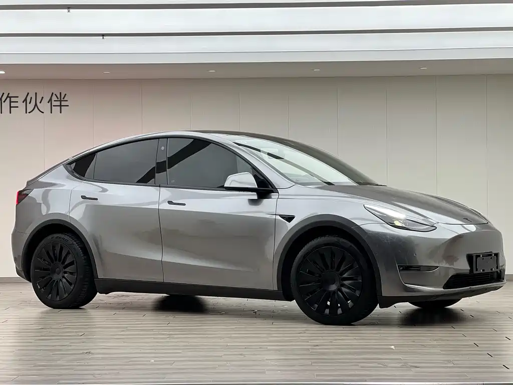 Tesla Model Y 2021 — фото 2