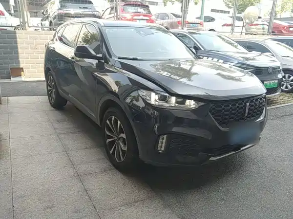 Wey VV6 2019
