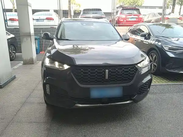 Wey VV6 2019
