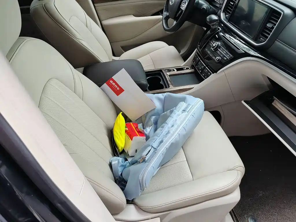 GAC Motor Trumpchi M8 2019 — фото 13