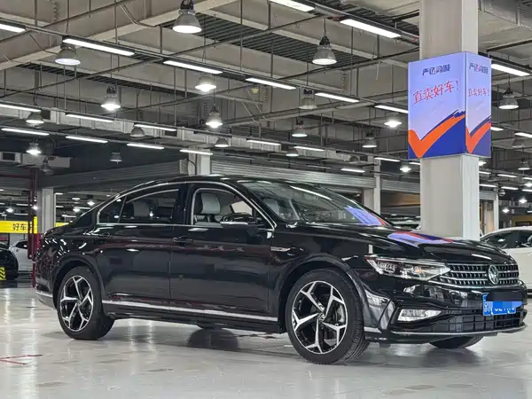 Volkswagen Magotan 2024
