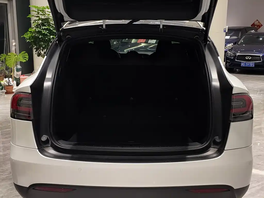Tesla Model X 2020 — фото 8