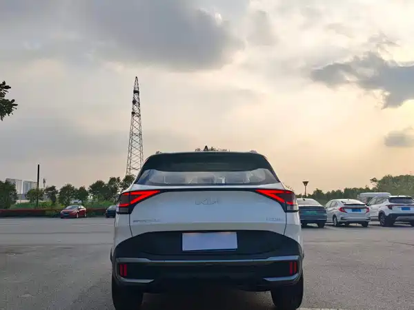Kia Lion Platinum Expands The Boundary 2025