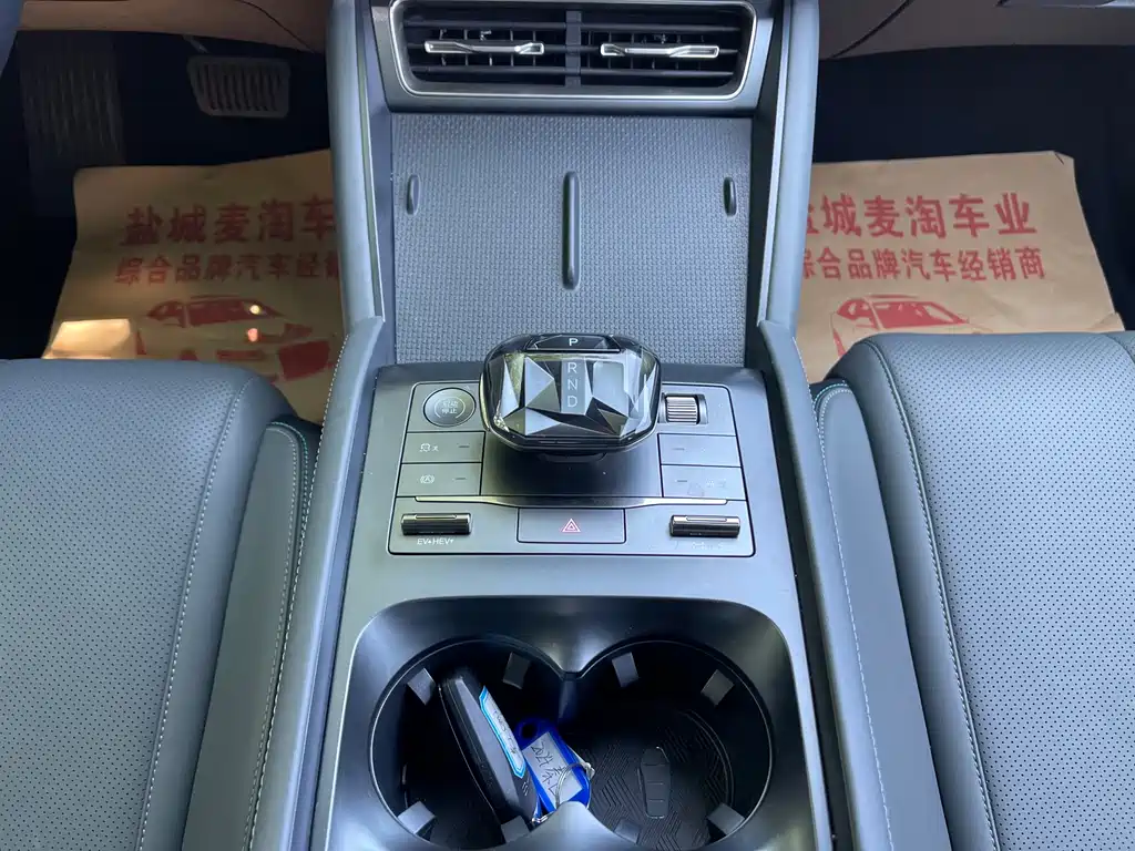 BYD Qin L 2024 — фото 13
