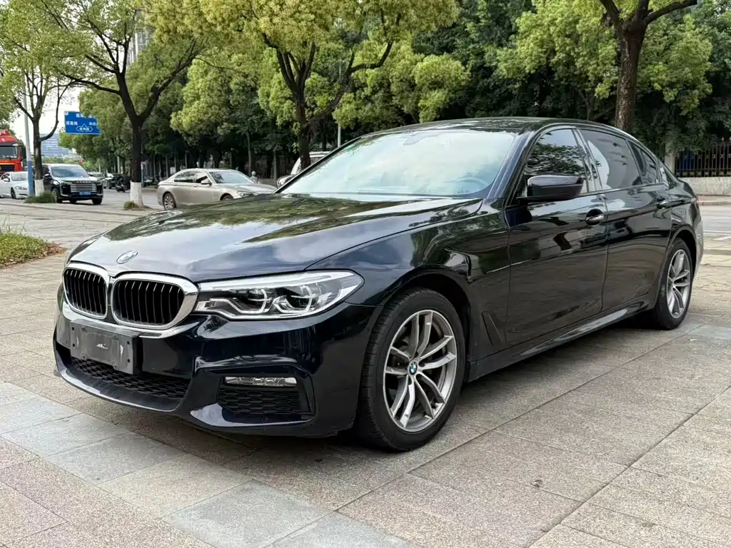 BMW 5 Series 2018 — фото 1