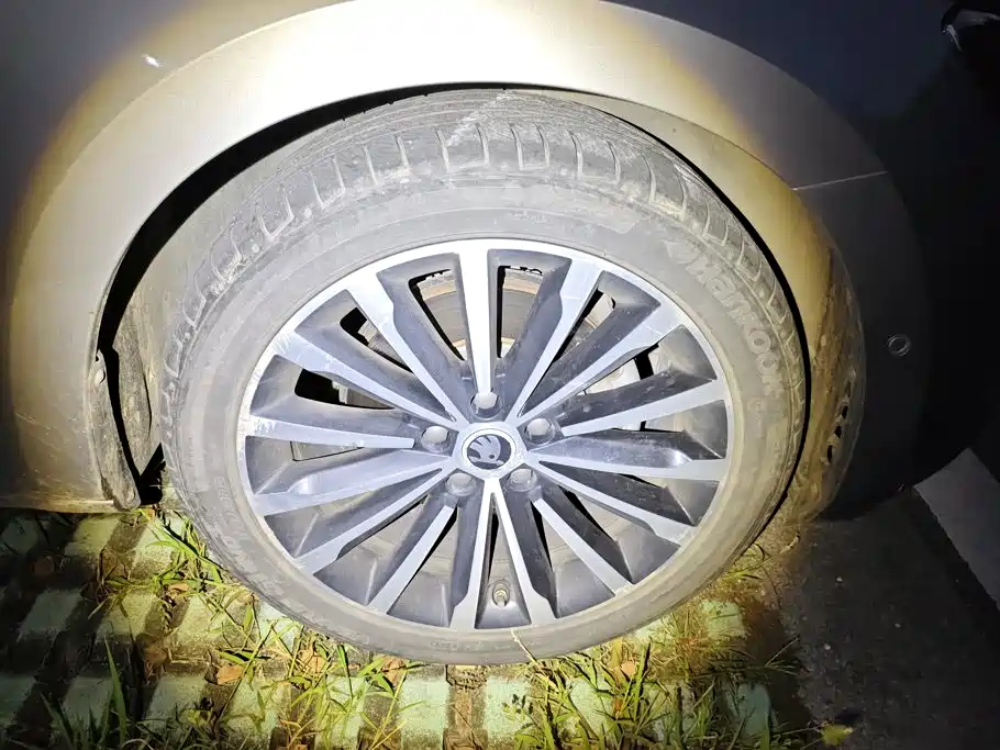 Skoda Speedy 2017