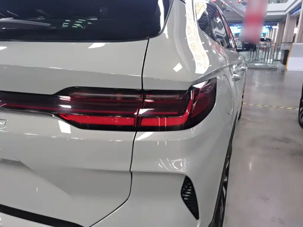BYD PLUS New Energy 2023 — фото 8
