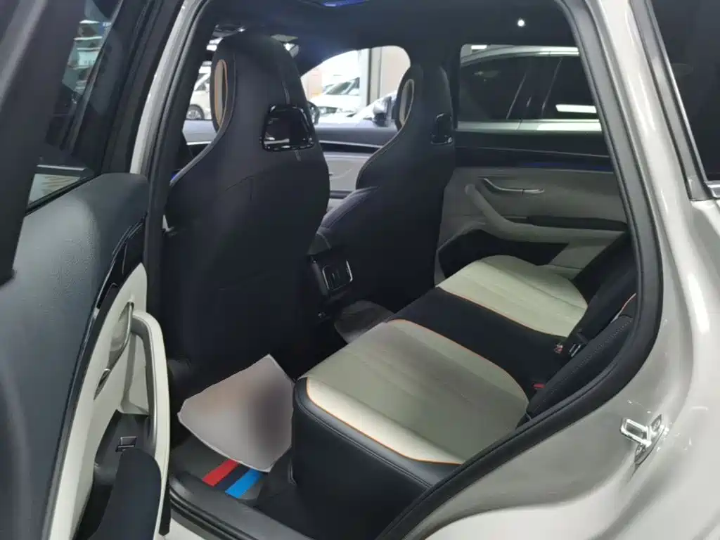 BYD PLUS New Energy 2023 — фото 17