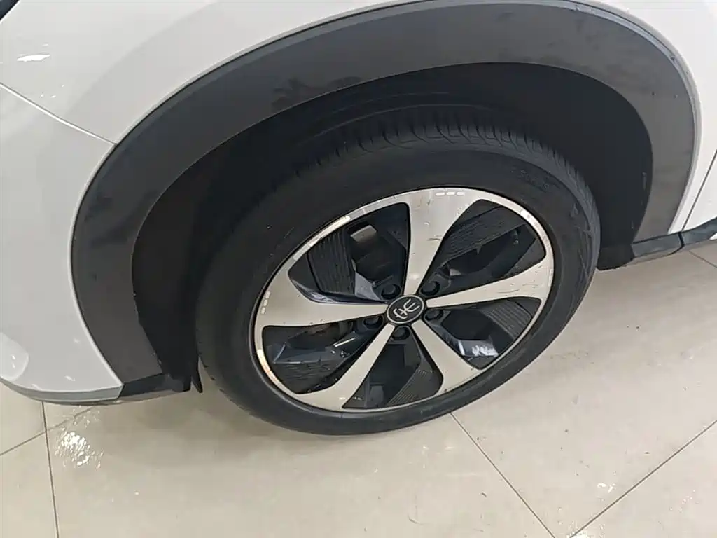 BYD PLUS New Energy 2021 — фото 23