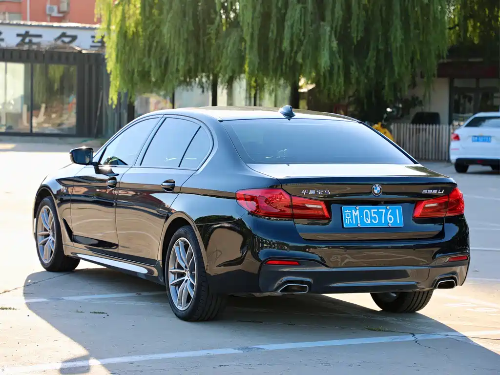 BMW 5 Series 2018 — фото 13