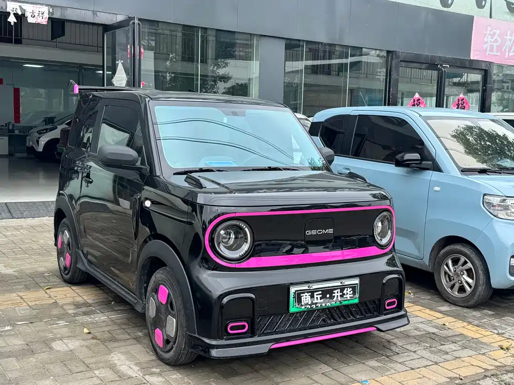 Galaxy Panda 2025 — фото 3