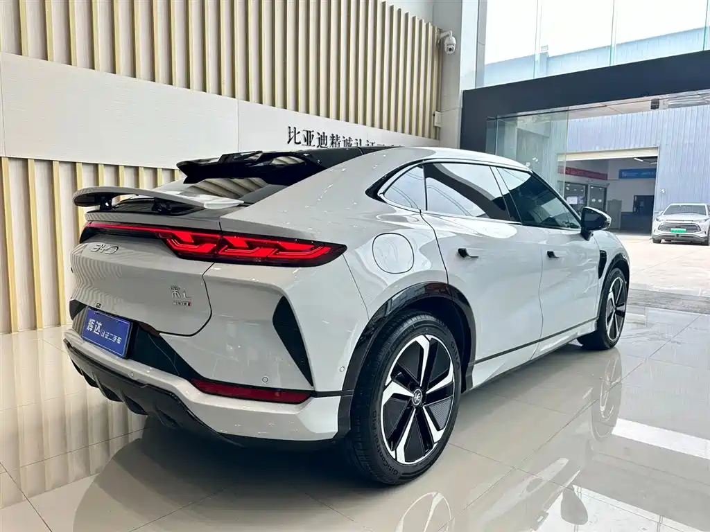 BYD L EV 2025