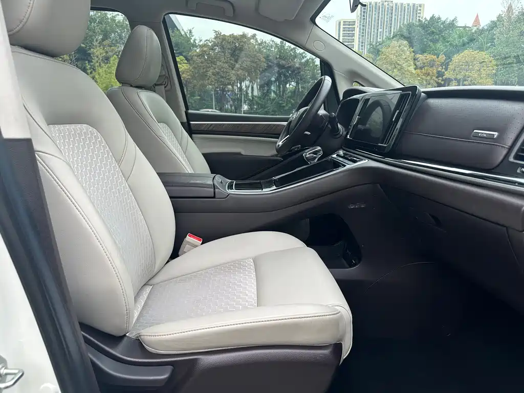 GAC Motor Trumpchi M8 2021 — фото 13