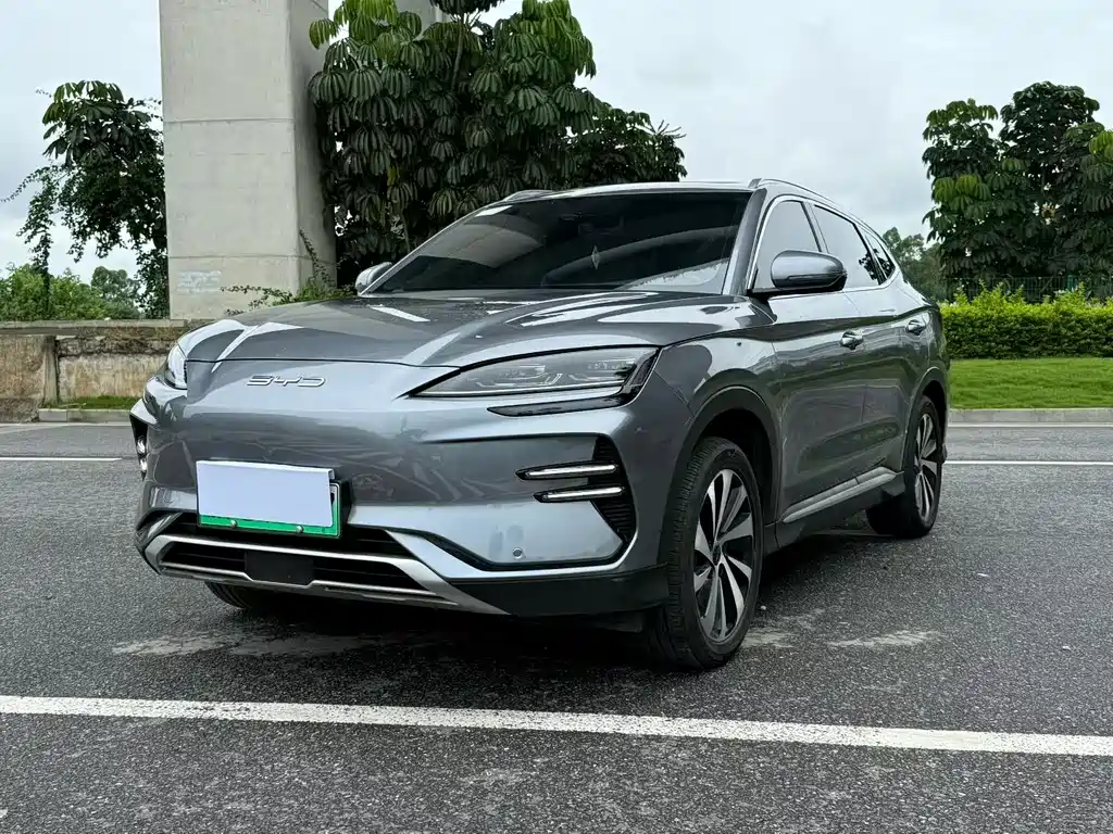 BYD Song PLUS New Energy 2024 — фото 1