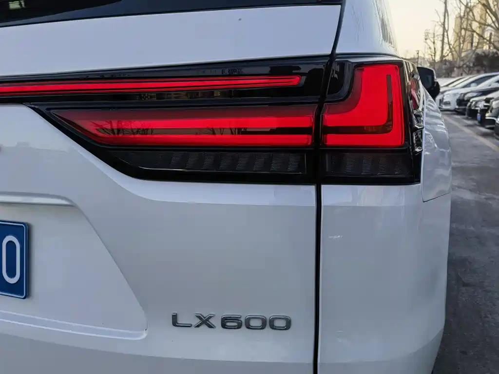 Lexus LX 2023 — фото 13