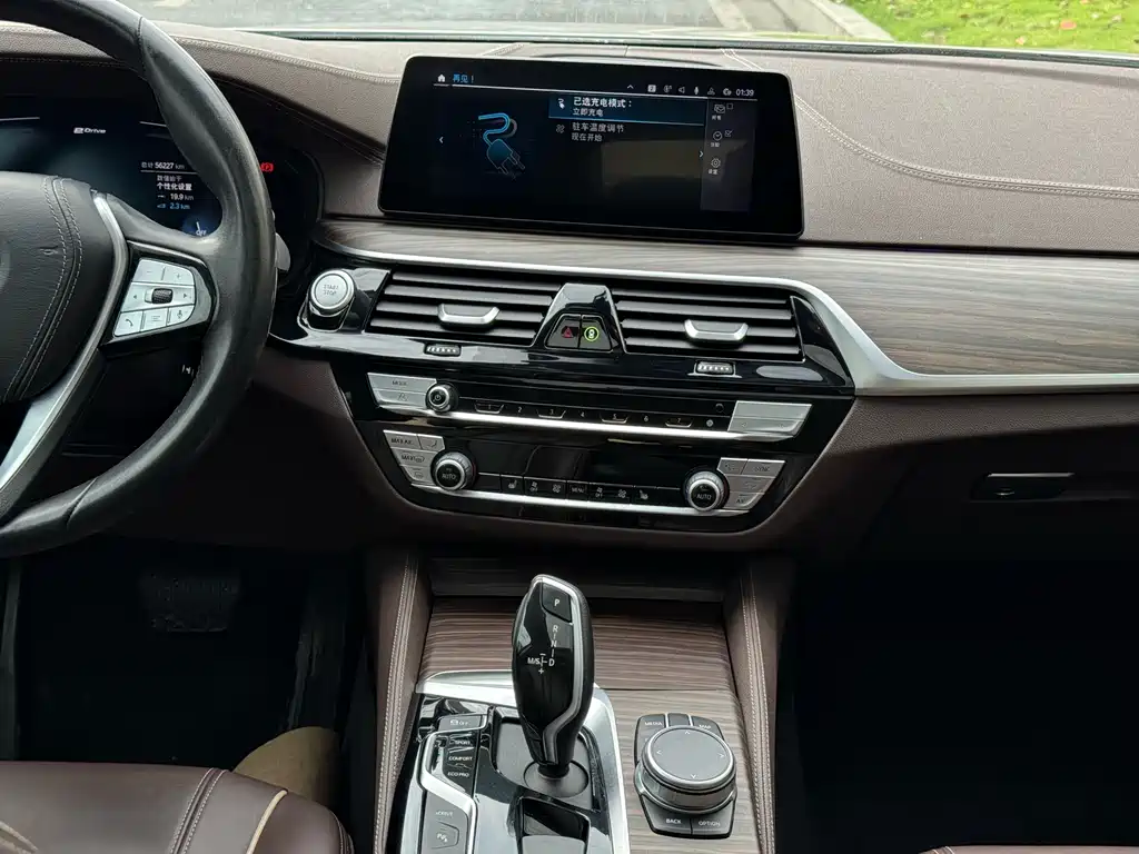 BMW 5 Series New Energy 2020 — фото 6
