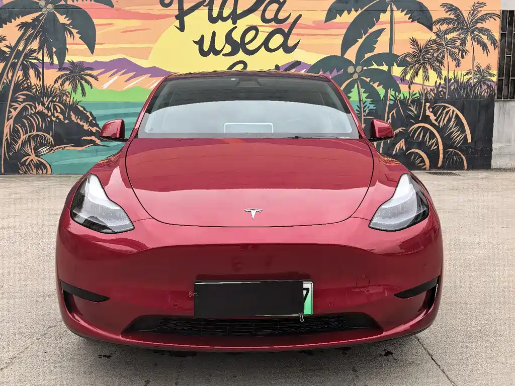 Tesla Model Y 2023 — фото 2
