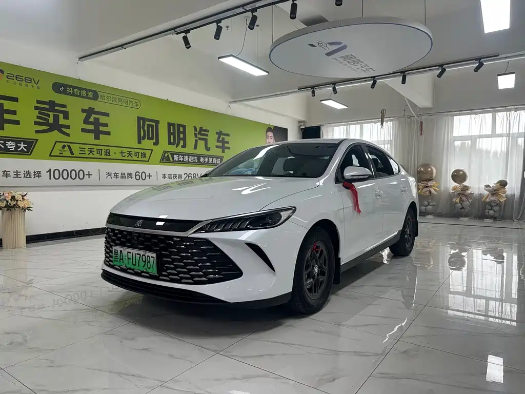 BYD Qin PLUS 2025