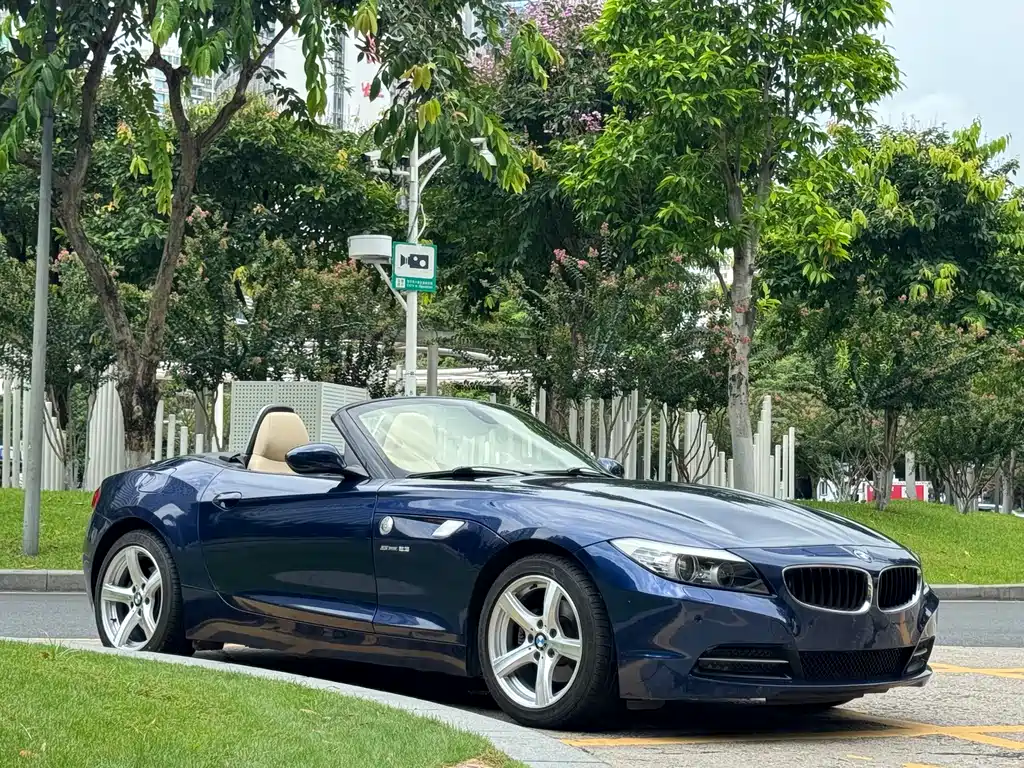 BMW Z4 2010