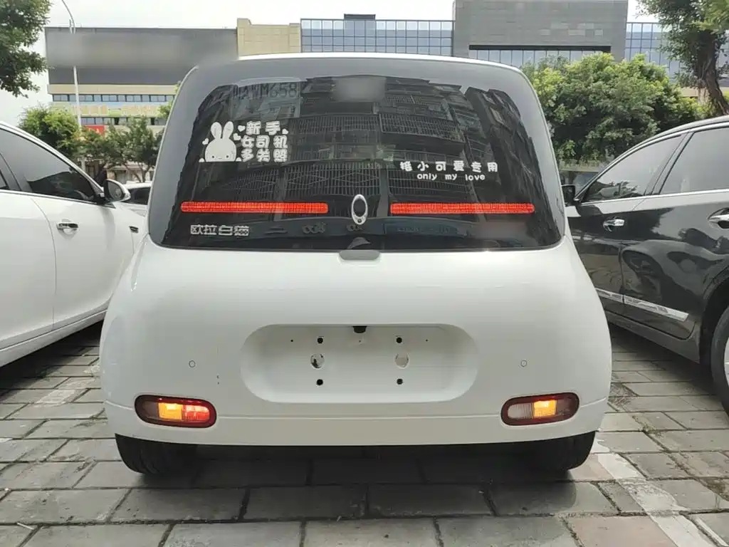 Ora White Cat 2021