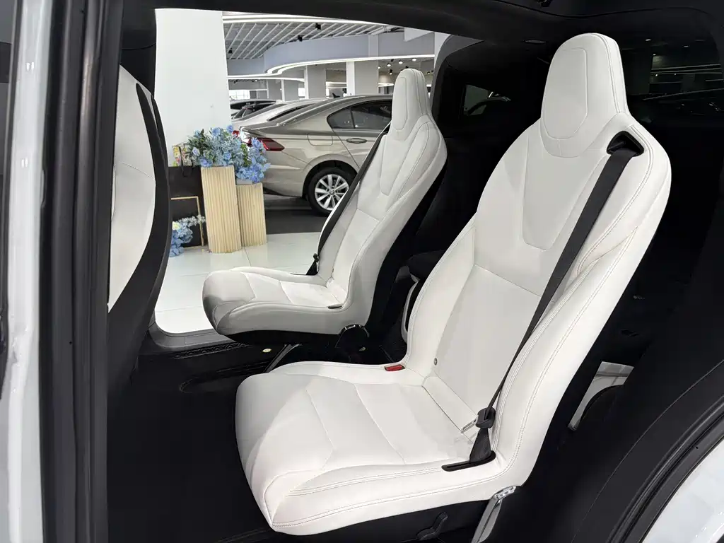 Tesla Model X 2019 — фото 11