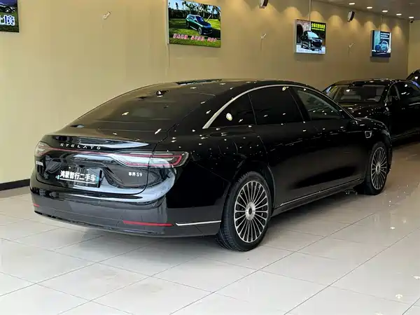 Stelato S9 2025