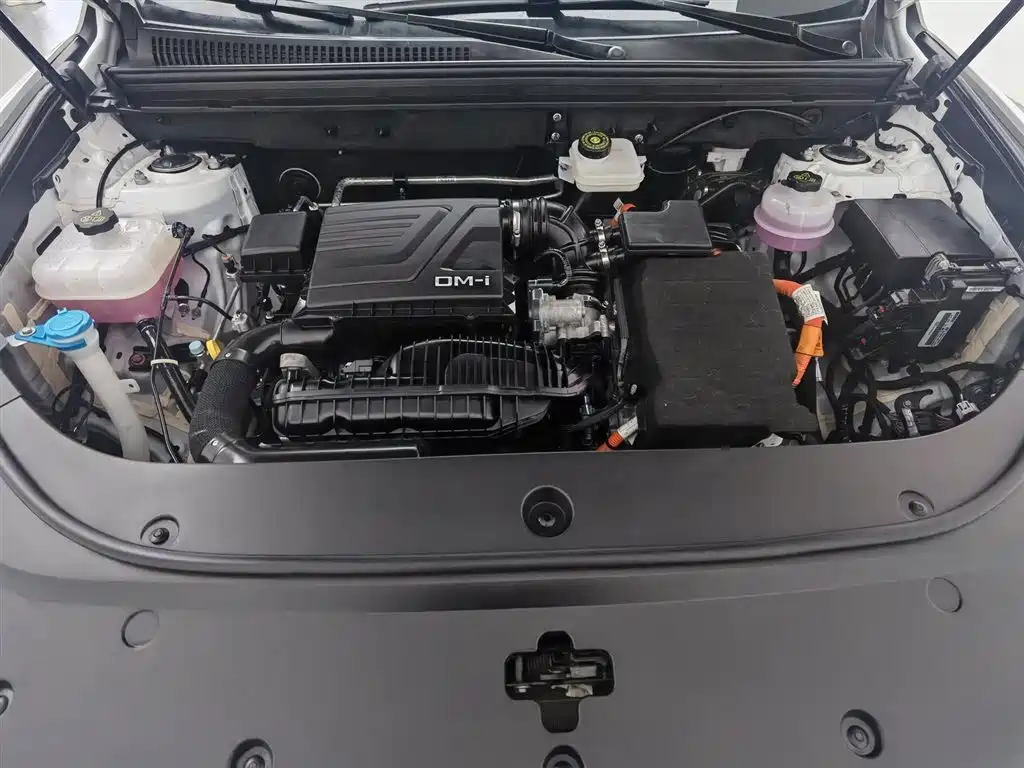BYD Pro New Energy 2024 — фото 6