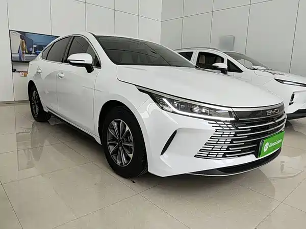BYD Destroyer 05 2024