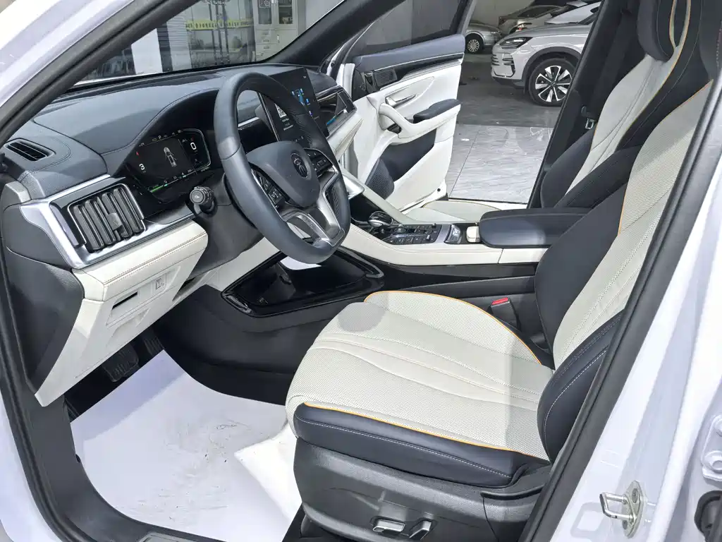 BYD Song PLUS New Energy 2023 — фото 8