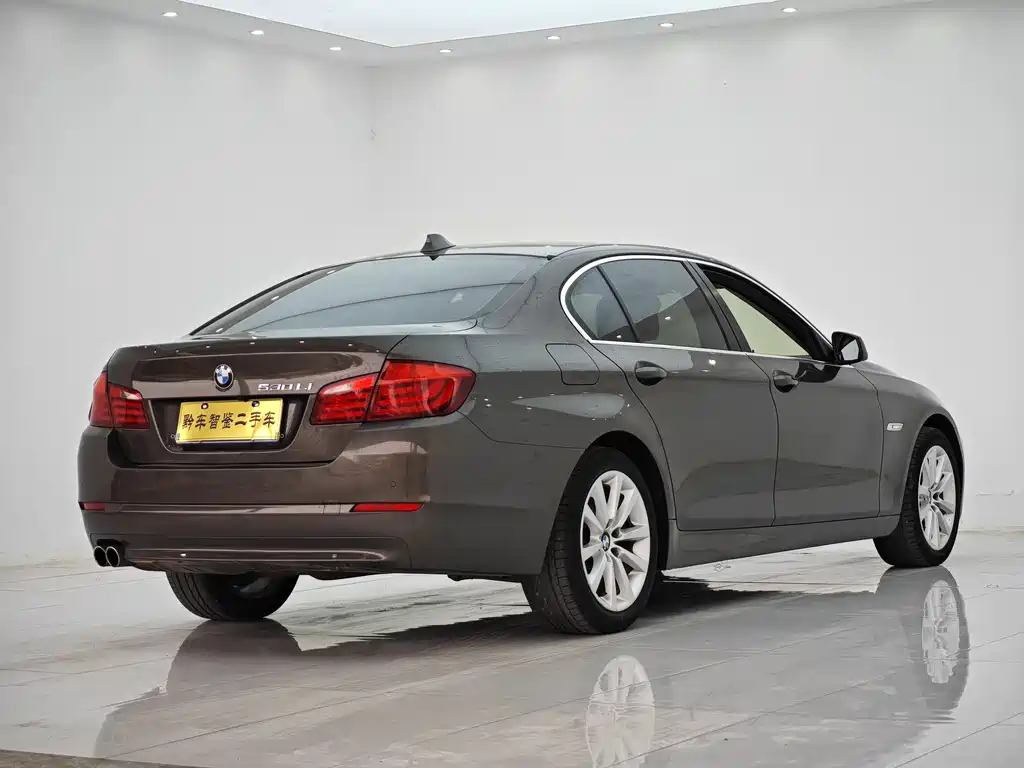 BMW 5 Series 2012 — фото 6