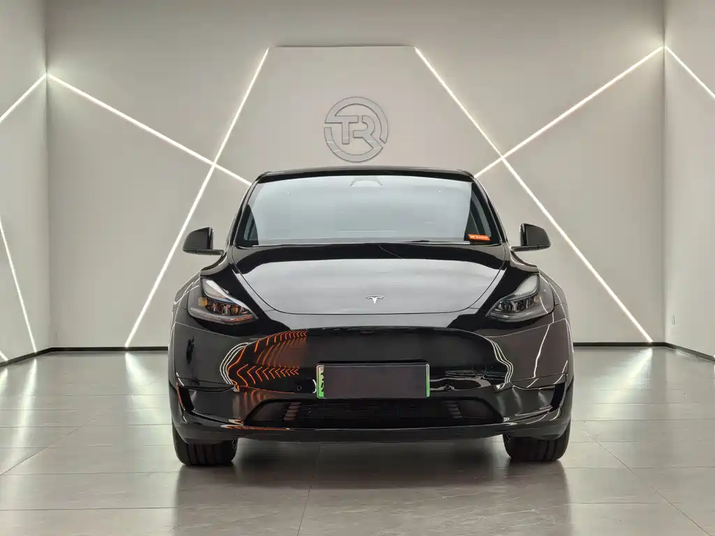 Tesla Model Y 2023 — фото 2