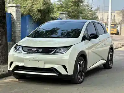 BYD Dolphin 2022