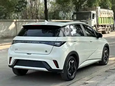 BYD Dolphin 2022