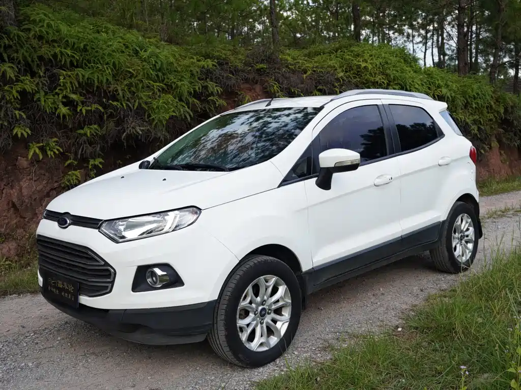 Ford EcoSport 2015 — фото 1