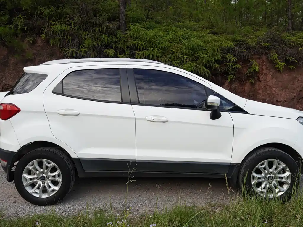 Ford EcoSport 2015 — фото 17
