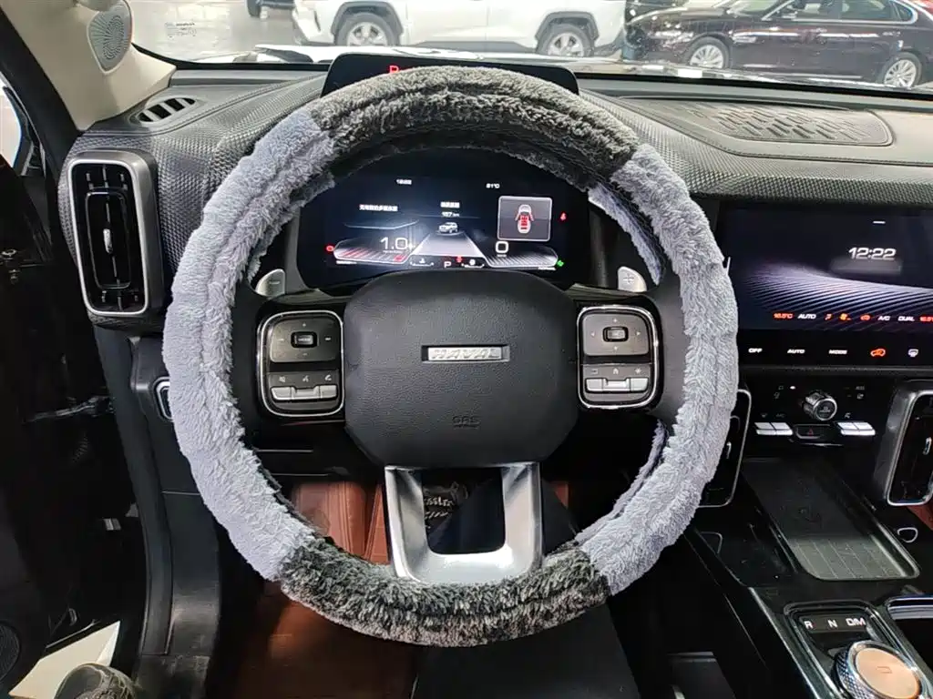 Haval Big Dog 2021 — фото 11