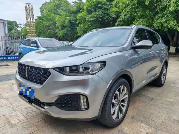 Wey VV6 2020